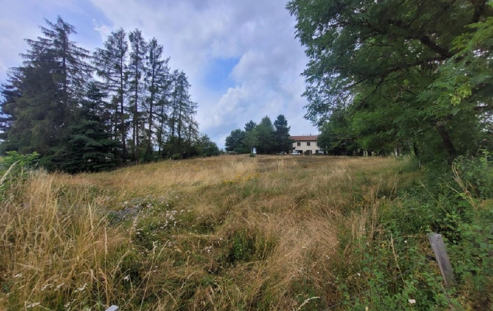  AGENCE IMMOBILIERE LANGONAISE Terrain | CHAMBON-LE-CHATEAU (48600) | 1 550 m2 | 24 000 € 