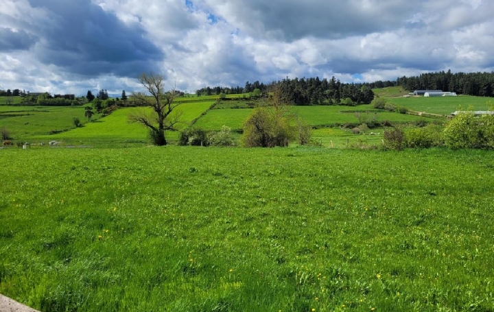  AGENCE IMMOBILIERE LANGONAISE Terrain | GRANDRIEU (48600) | 1 047 m2 | 29 000 € 