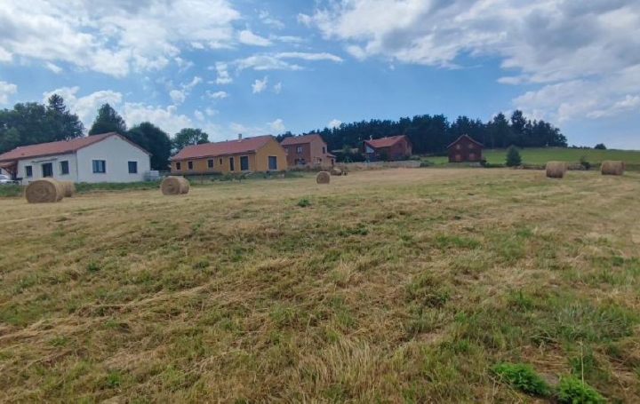 AGENCE IMMOBILIERE LANGONAISE Terrain | CHAMBON-LE-CHATEAU (48600) | 1 150 m2 | 20 250 € 