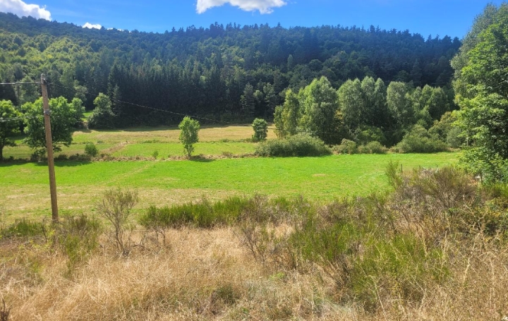  AGENCE IMMOBILIERE LANGONAISE Terrain | PIERREFICHE (48300) | 4 839 m2 | 35 000 € 