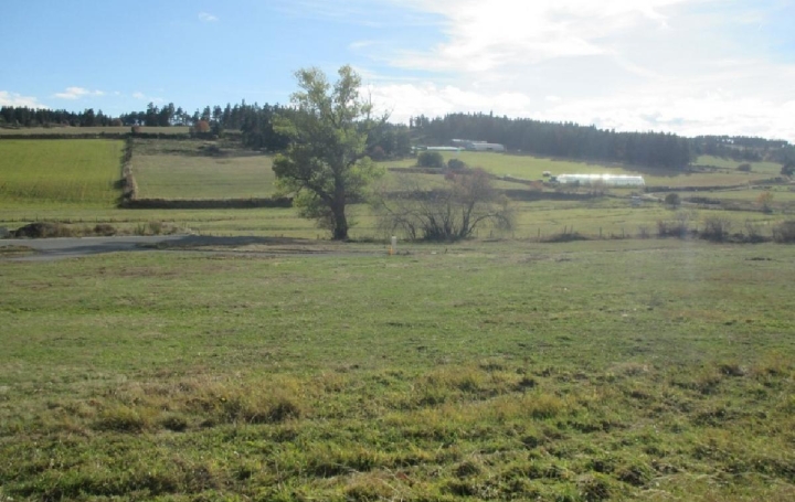  AGENCE IMMOBILIERE LANGONAISE Terrain | GRANDRIEU (48600) | 1 500 m2 | 39 300 € 