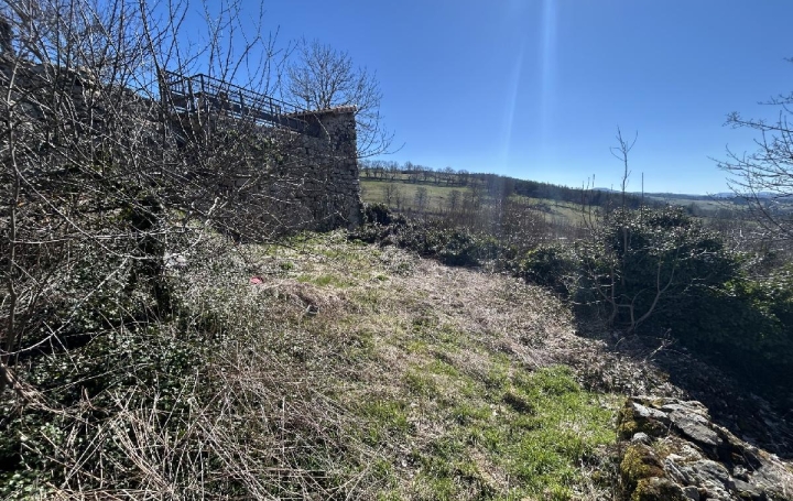  AGENCE IMMOBILIERE LANGONAISE Terrain | PRADELLES (43420) | 493 m2 | 33 000 € 